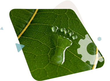 carbon footprint