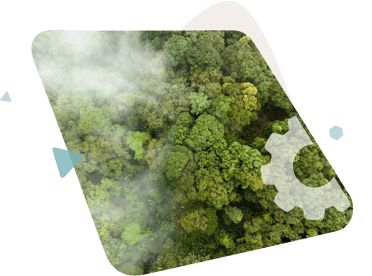 carbon image