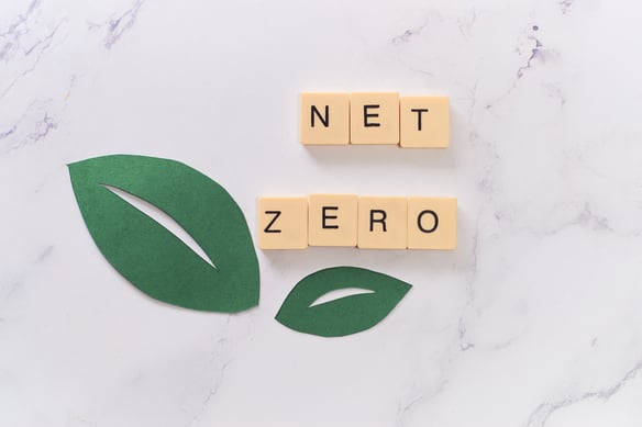 net-zero-concept-with-green-leaves-and-letters-2026-09-22-22-35-30-utc