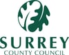 surrey council council