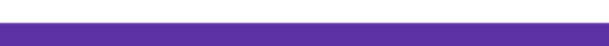 Purple Banner 800